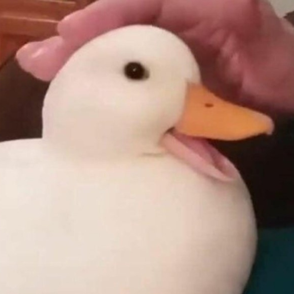 um